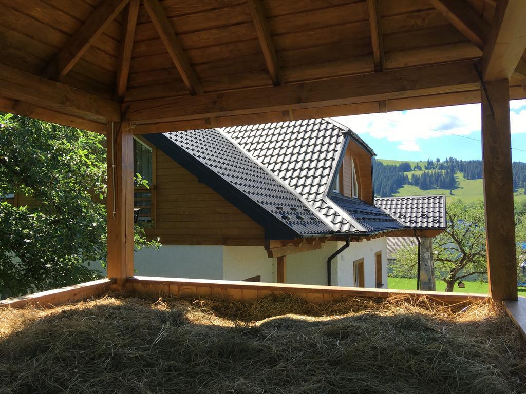 Cottage Familiya Verkhovyna Exterior foto